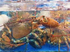 -吉莲利苑海鲜酒家(珠海拱北29年老字号店)