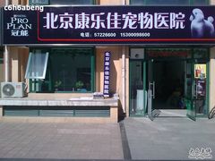 -瑞派·关忠动物医院·猫专科·犬专科(三环新城店)