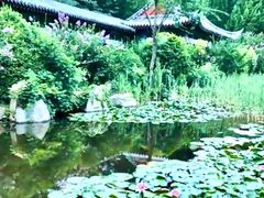 -龙口南山旅游景区