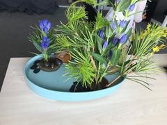 -荷兰布尔玛国际花艺学院