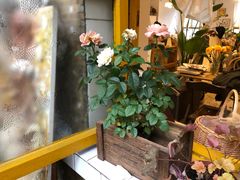 -知物癖(牛王庙店)
