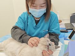 -美迦爱-牙专科·兔科·骨科诊疗中心(北苑店)
