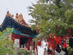 -戏马台景区