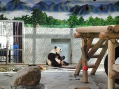 -西安秦岭野生动物园