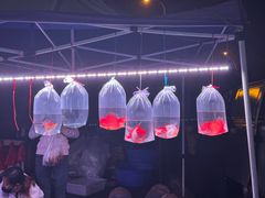 -中环花鸟鱼虫市场