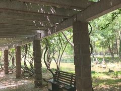 -采石矶景区