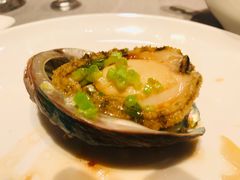葱油大连中鲍鱼-徐记海鲜·宴会(大唐西市|丰庆店)