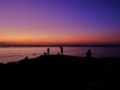 -宝安西湾红树林湿地公园