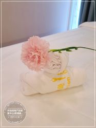 -时尚妈咪产后修复中心