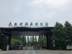 -黄海国家森林公园