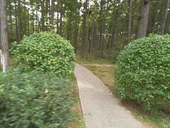 -长春市南湖公园