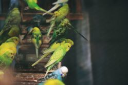 -酷嗒动物文化乐园(cutezoo西溪乐天城店)