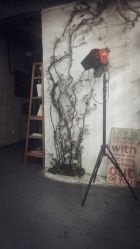 -HG美发设计沙龙