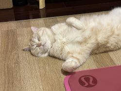 -齐伽生活馆·瑜伽·普拉提·阿育吠陀