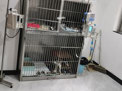 -荔康动物医院(康王北路店)