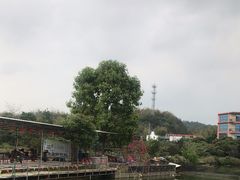 -荔枝红五号农庄