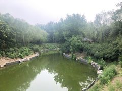 -大兴滨河森林公园