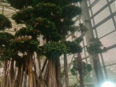 -祥源·阜阳生态乐园