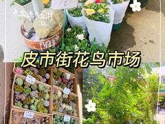 -苏州市皮市街花鸟工艺品市场