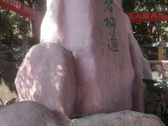 -梧桐山风景名胜区