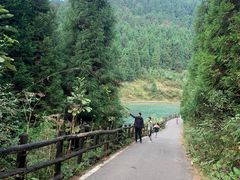 -武陵山森林公园