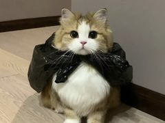 -人民公园-相亲角