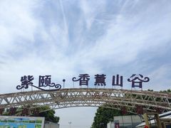 -紫颐香薰山谷景区