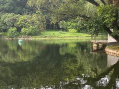 -上海共青森林公园