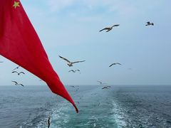-海驴岛(荣成市)