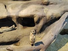 -苏州海洋馆