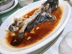 -金春禧(英雄山路旗舰店)