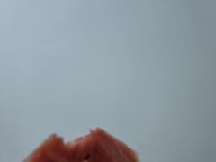 -杨氏青龙虾·羊蝎子(托乐嘉店)