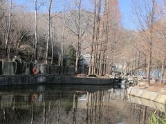 -白水寺森林公园