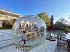 -上海崇明金茂凯悦酒店