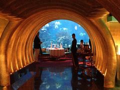 -迪拜帆船酒店海底餐厅