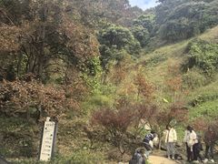 -广州市石门国家森林公园