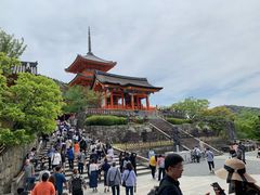 -有栖山 清光院 清水寺