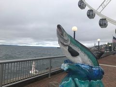 -西雅图水族馆
