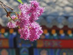-成吉思汗公园