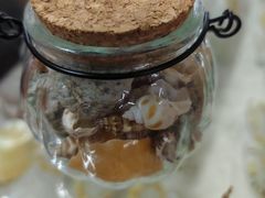 -青岛贝壳博物馆