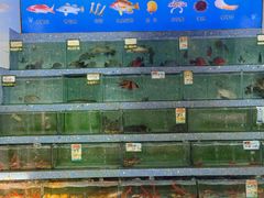 -锐记美食店·现捞海鲜(闸坡店)