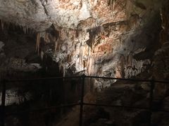 -波斯托伊纳溶洞