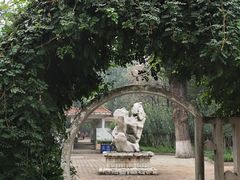 -保定市动物园