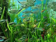 -太平洋海底世界