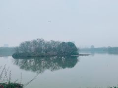 -海珠湖公园