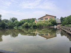 -溱湖国家湿地公园