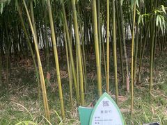 -安吉竹博园