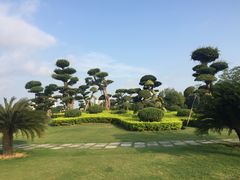 -南宁南湖公园