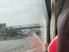 -老虎沟生态农场