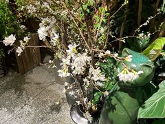-花二家·生活馆(六运小区店)